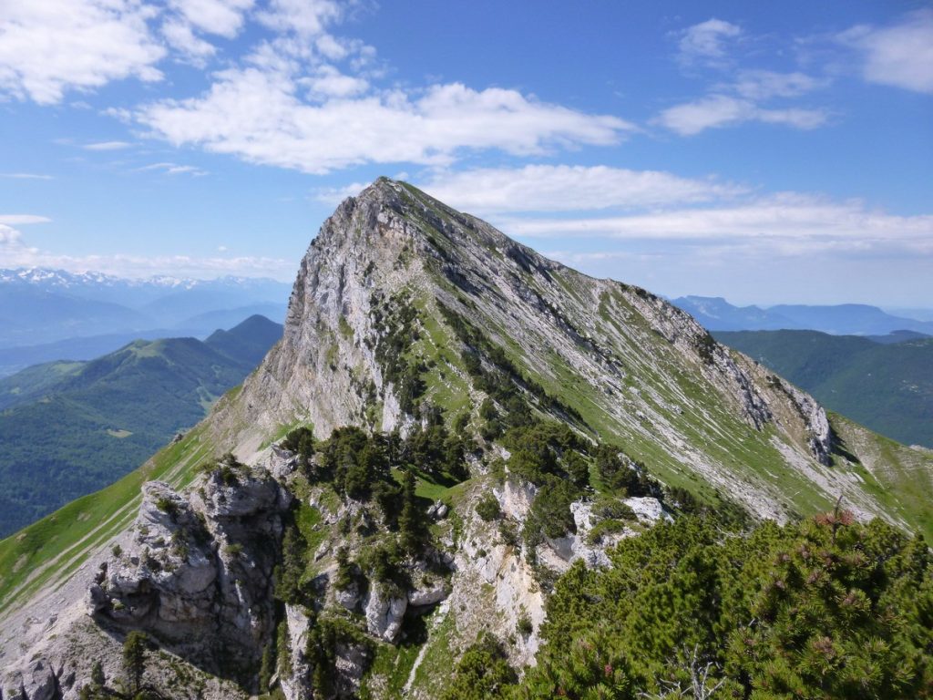 Sortie à la journée colombier